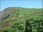 The coastal footpath from Bradda Head to Fleshwick.