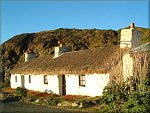 Niarbyl.