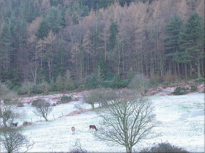12th January 2003.