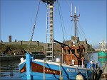 The Basking Shark Society's "Jasmine"