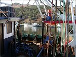 "Fishing Boats" in Peel Harbour.