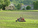 Shenharra Farm - (11/6/03)