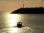 A Lobster Potter leaving Douglas Harbour - (8/6/03)