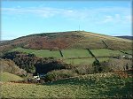 Beary Mountain - Laurel Bank.