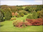 A touch of Autumn in the air at the Arboretum St. Johns.