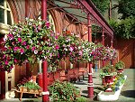 Douglas Railway Station in full bloom!