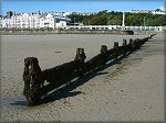 Douglas Foreshore.