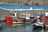 A Colourful display in Port Erin Inner Harbour - (10/4/05)