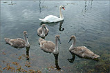 Mum and her kids in Castletown Harbour - (10/8/05)