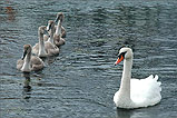 Come on Mum let's conga!!!! - (10/8/05)