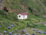 The Beach Cottage @ Traie Vane - (1/6/05)