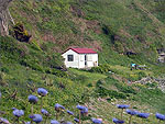 The Beach Cottage @ Traie Vane - (1/6/05)