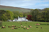 Afternoon Tea at the Whitehouse Kirk Michael - (16/5/05)