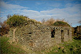 A derelict Manx Tholtan - (29/01/06)