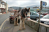 Outside Shoprite in Ramsey - (11/3/06)