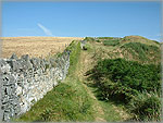 The footpath to Cronk Ny Merriu - Santon - (10/8/03)