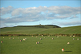 West Kimmeragh - Bride - (2/12/04)