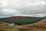 Overlooking Druidale Cottge and Sartfell Mountain - (2/12/04)