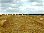 Rolled Bales of Hay - Andreas - (19/7/03)
