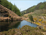 Glen Rushe Reservoir - (1/5/04)