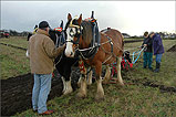 A Ploughing Competition at Malew - (13/11/04)