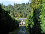 Forrester's Cottage at South Barrule Plantation - (18/10/04)