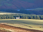 The Shepherds Cottage at Druidale - (1/10/2004)